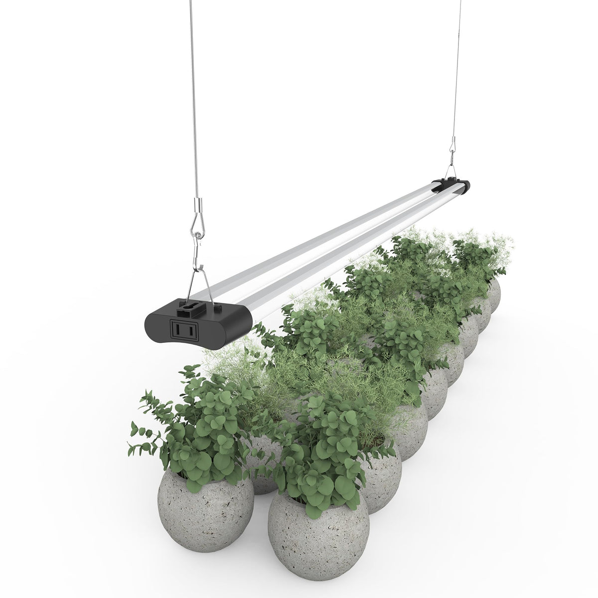 APICDOM 5000K daylight glow promotes vigorous vegetative development.