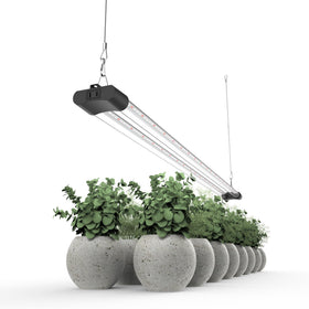 APICDOM LED grow light full spectrum for indoor plants supports healthy growth.