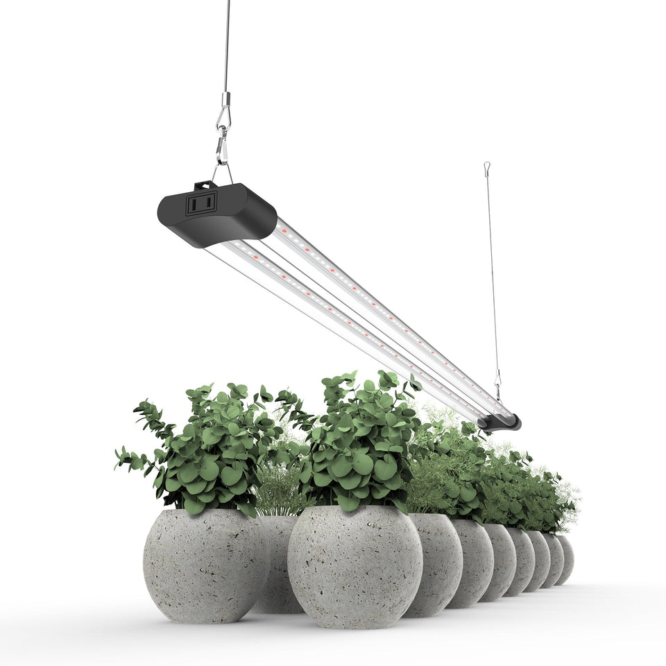APICDOM LED grow light full spectrum for indoor plants supports healthy growth.