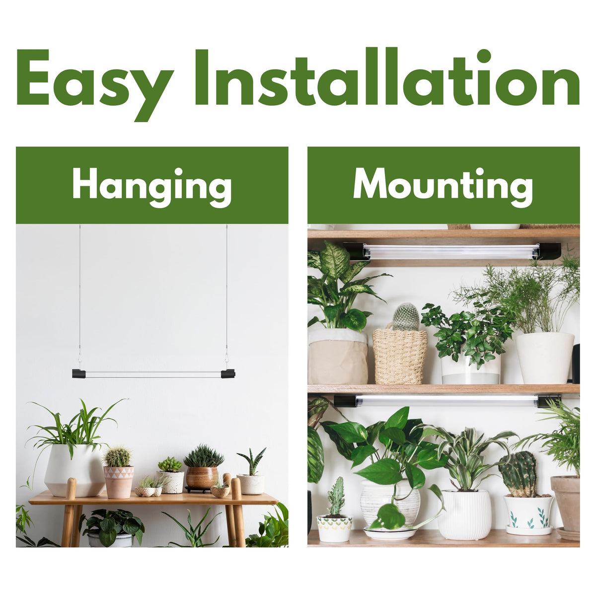 APICDOM indoor plant lighting for versatile setups.