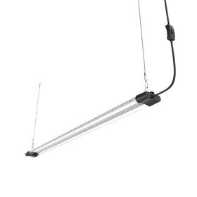 APICDOM inline switch offers convenient power control.