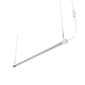 APICDOM screw-mount installation keeps lights securely positioned.
