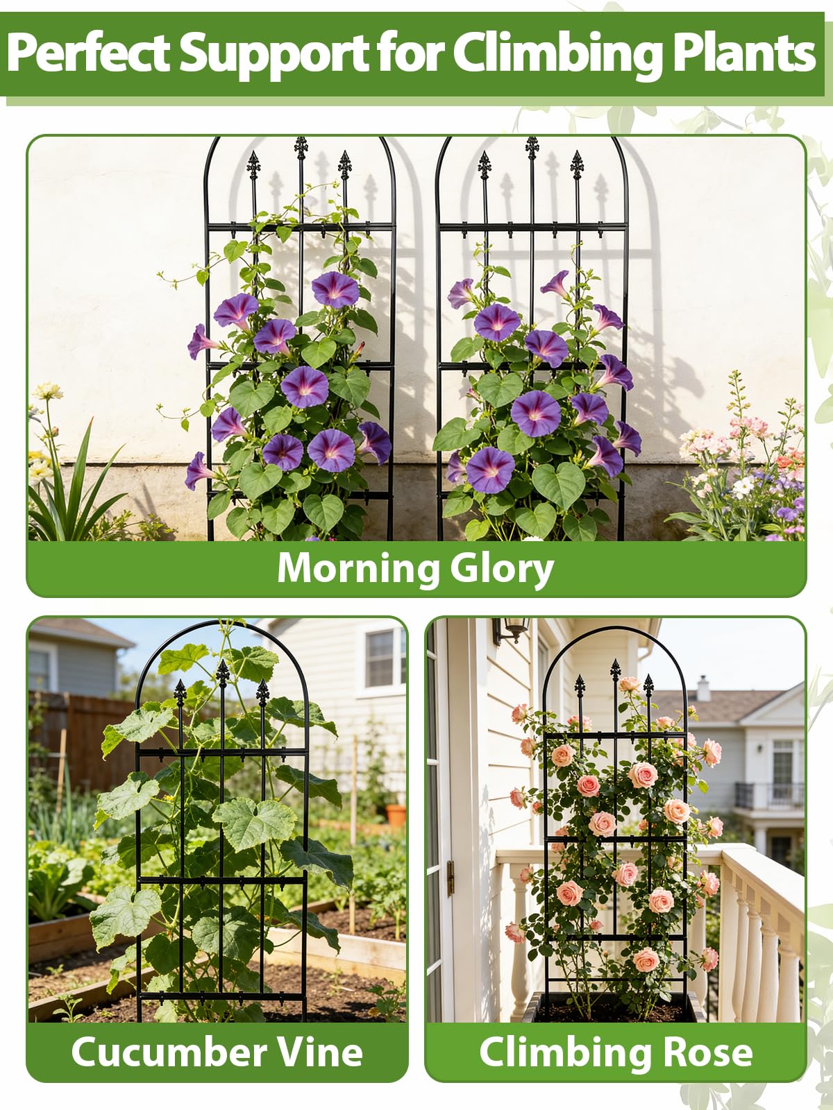 Apipi durable outdoor metal lattice doubles as decorative plant fencing.