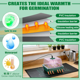 Apipi full-spectrum grow light adapts light quality and duration for steady seedling vigor.