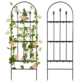 Apipi garden trellis assembly process shows quick setup and sturdy hardware.
