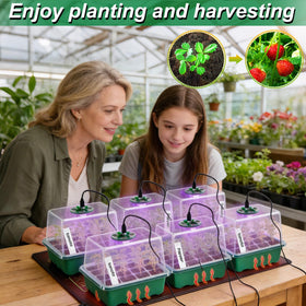 Apipi plant labels and tools simplify tracking varieties and care tasks.