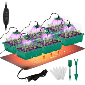 Apipi seed starter tray 72-cell for efficient home germination and orderly seedling growth.