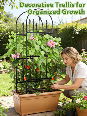 Apipi trellis for cucumbers and beans improves airflow and growth.