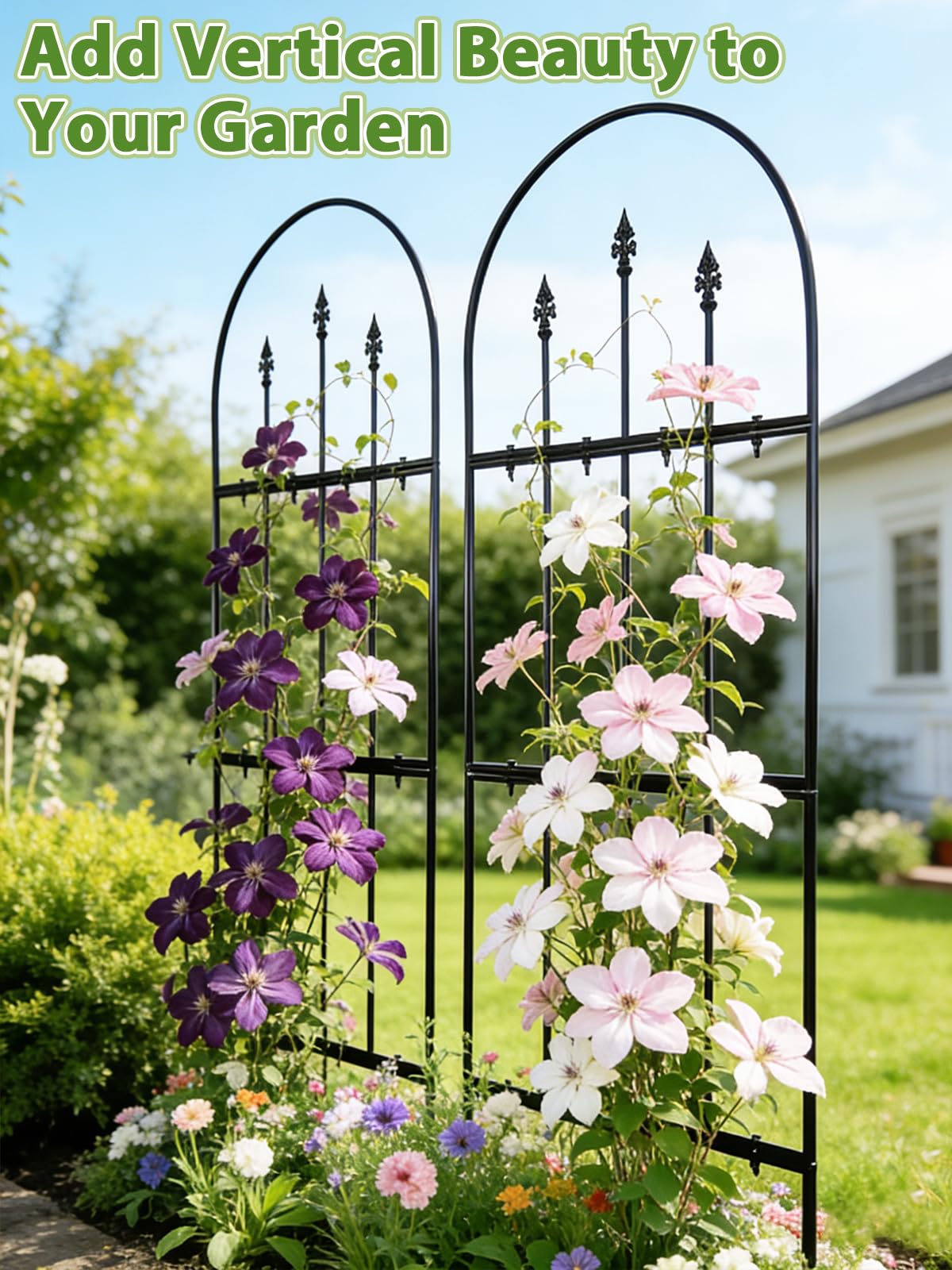 Apipi vertical garden wall with roses and ivy saves space.