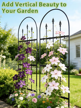 Apipi vertical garden wall with roses and ivy saves space.