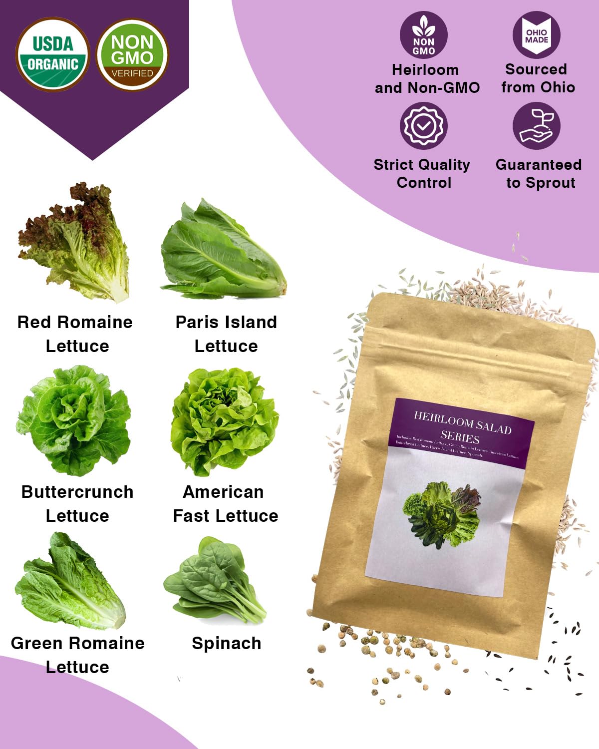 Apoloseedic American Fast lettuce seeds promoting steady germination.