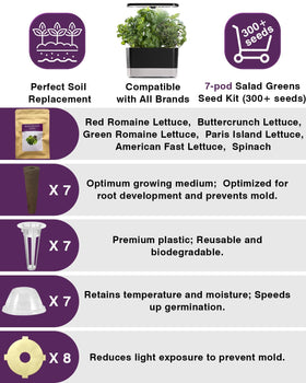 Apoloseedic Buttercrunch lettuce seeds delivering tender, crunchy leaves.
