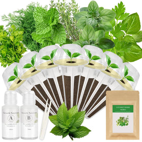 Apoloseedic gourmet herb seed pod kit contents prepared for quick hydroponic setup