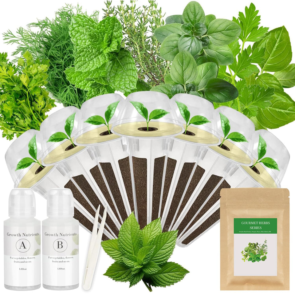 Apoloseedic gourmet herb seed pod kit contents prepared for quick hydroponic setup