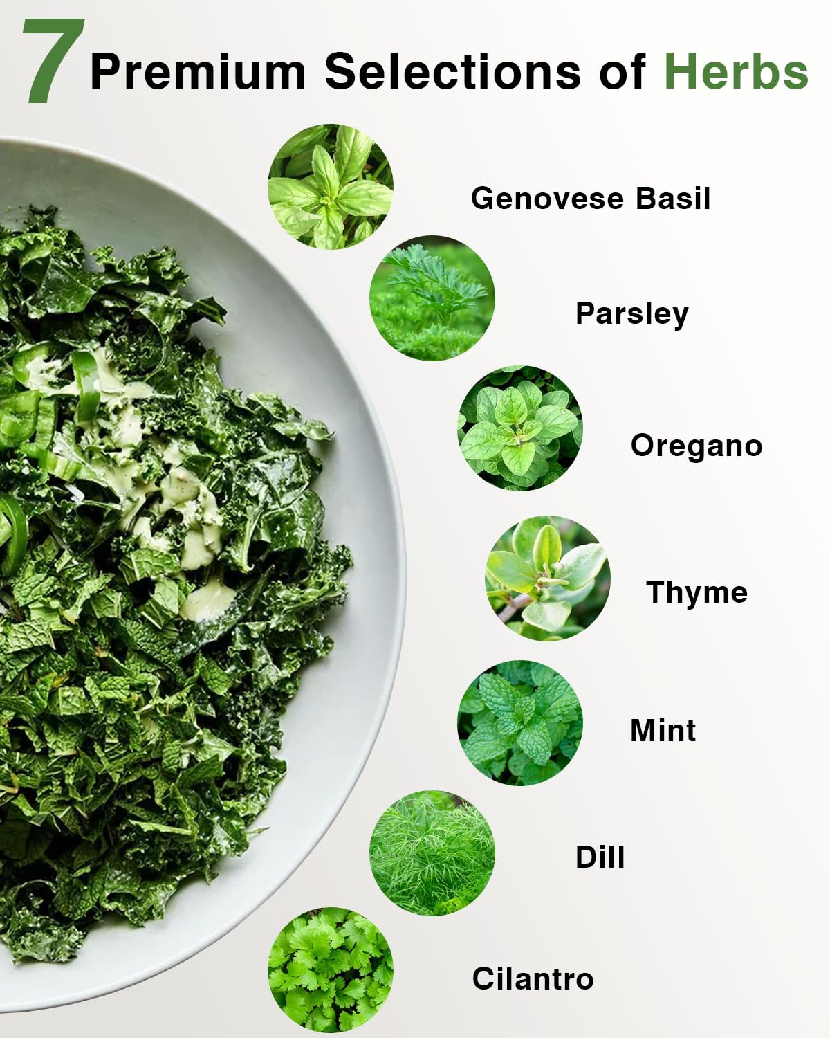 Apoloseedic hydroponic supplies like sponges and domes support healthy root growth.
