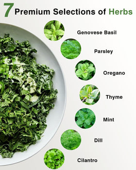 Apoloseedic hydroponic supplies like sponges and domes support healthy root growth.