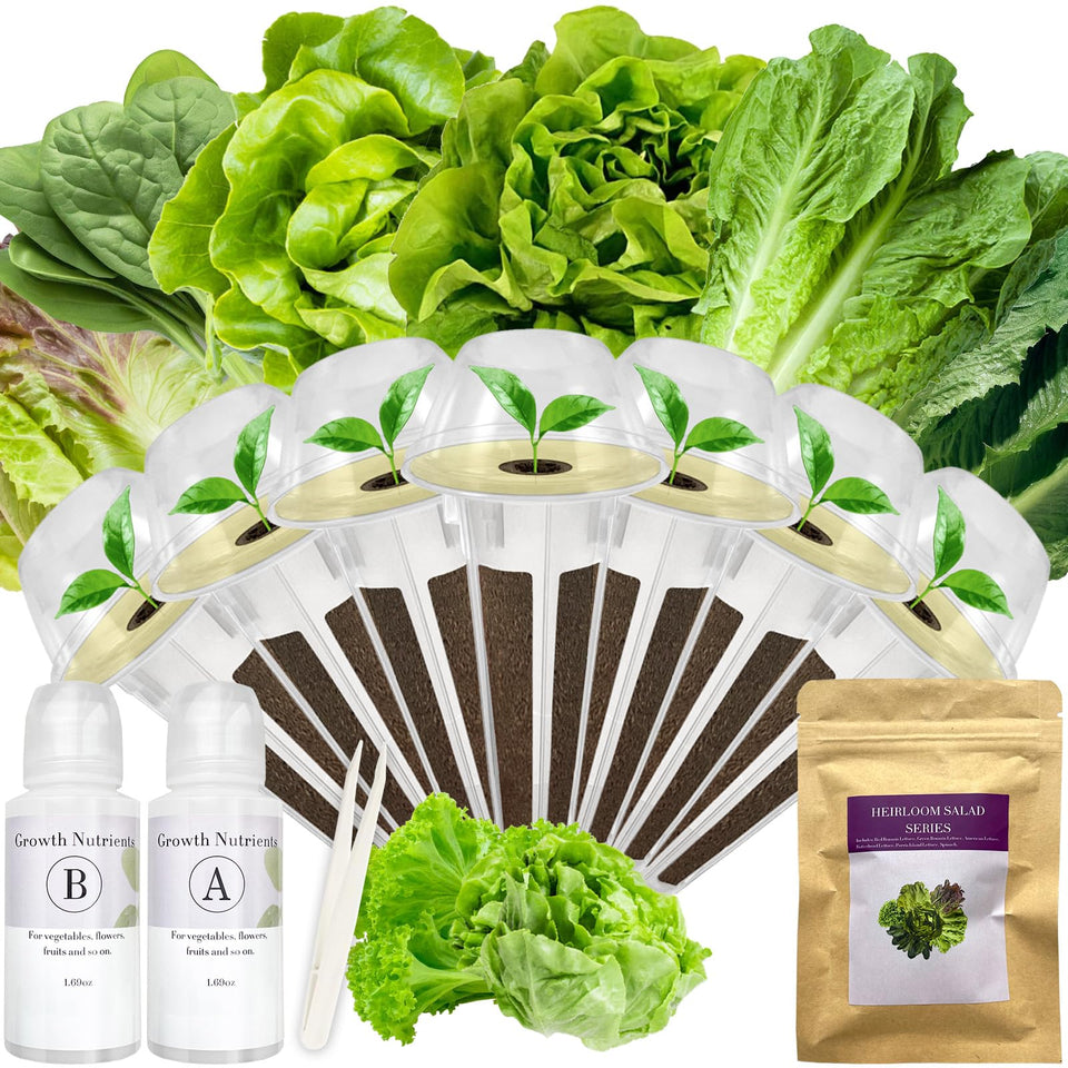Apoloseedic Salad Greens Seed Pod Kit for AeroGarden and iDoo, ready for home harvests.