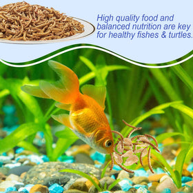 Amzey Shrimp & Mealworms fed to birds, turtles, and hamsters as snacks
