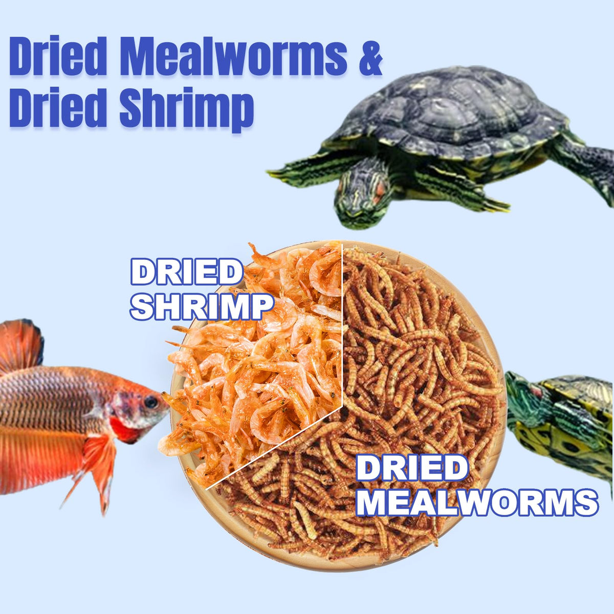 Amzey shrimp-mealworms bucket open, dried mealworms ready to serve