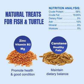 Close-up of Amzey Shrimp & Mealworms showing dried mealworms texture
