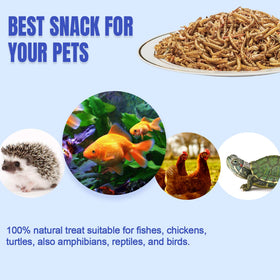 Storage of Amzey Shrimp & Mealworms in its bucket for long shelf life