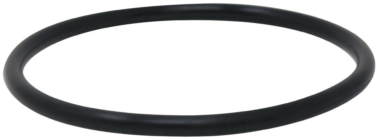 AppliaFit lid O-Ring for FHPF series ensures durable seal.