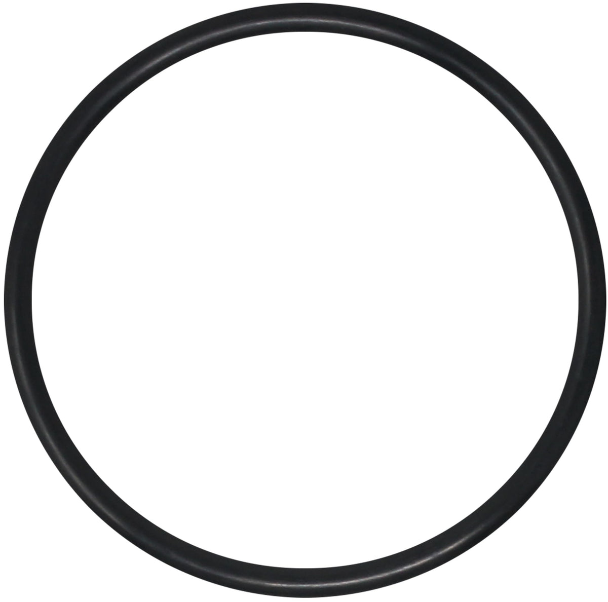 AppliaFit lid O-Ring compatible with Jandy R0480200 for reliable seal.