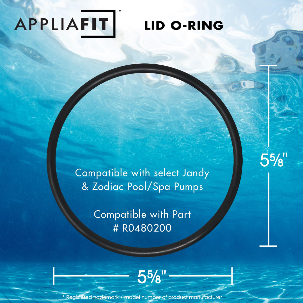 AppliaFit lid O-Ring on VS FloPro pump for leak-free performance.