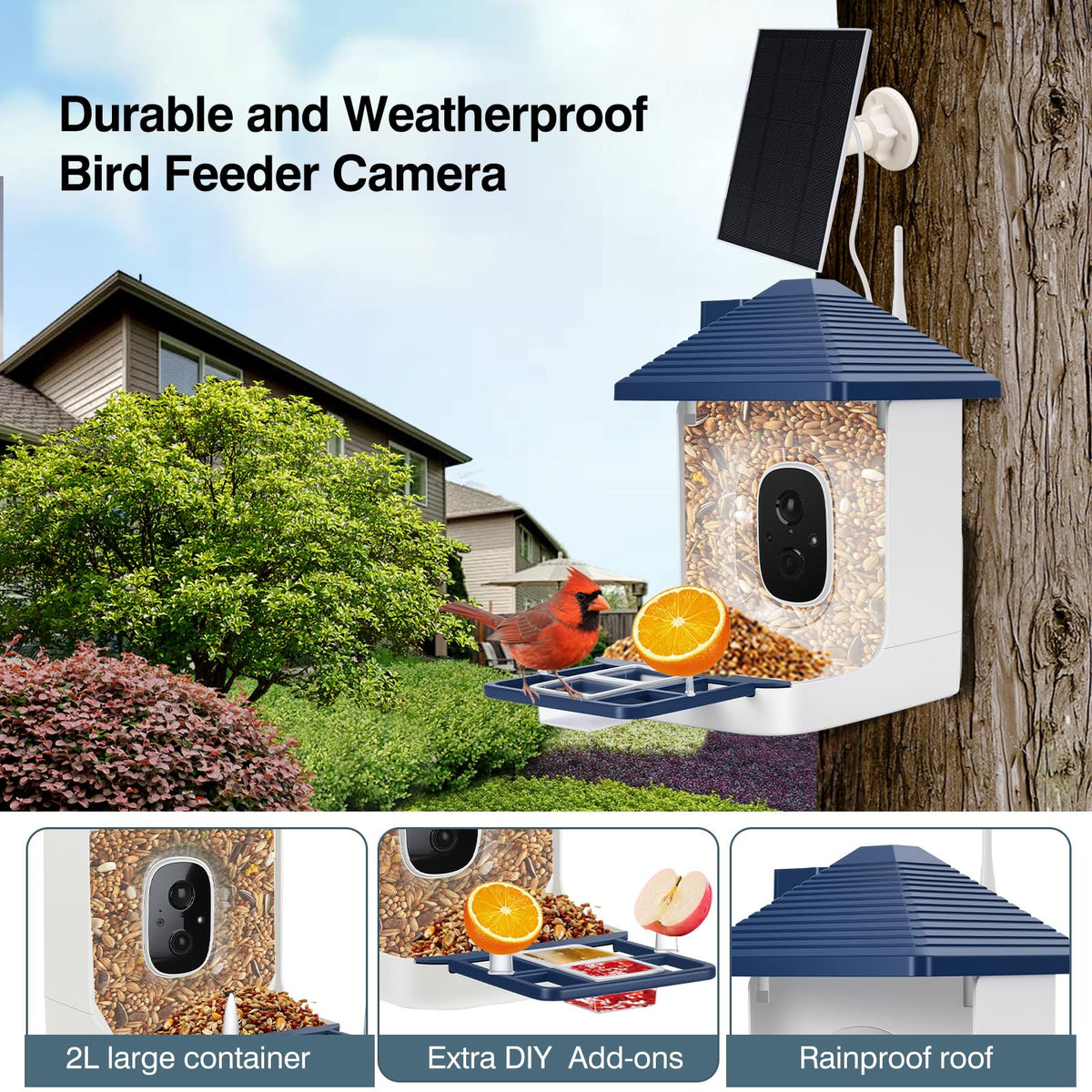 Aprilmin 2K HD video live view delivers crisp footage of visiting birds.