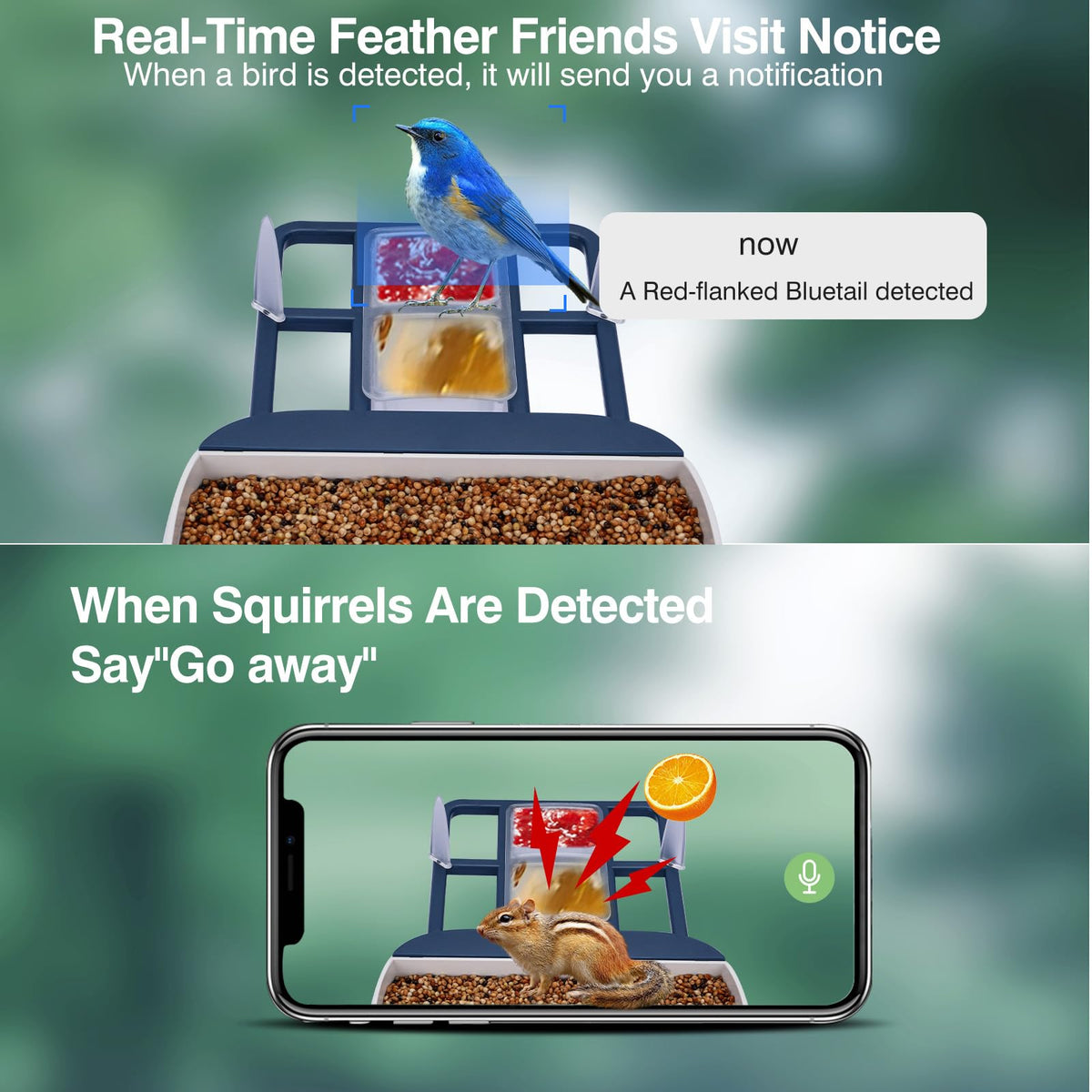 Aprilmin AI bird species ID display shows diverse winged visitors.
