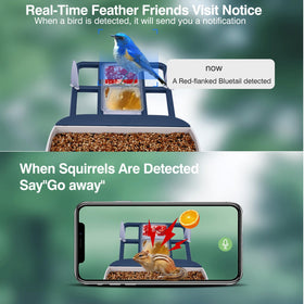 Aprilmin AI bird species ID display shows diverse winged visitors.