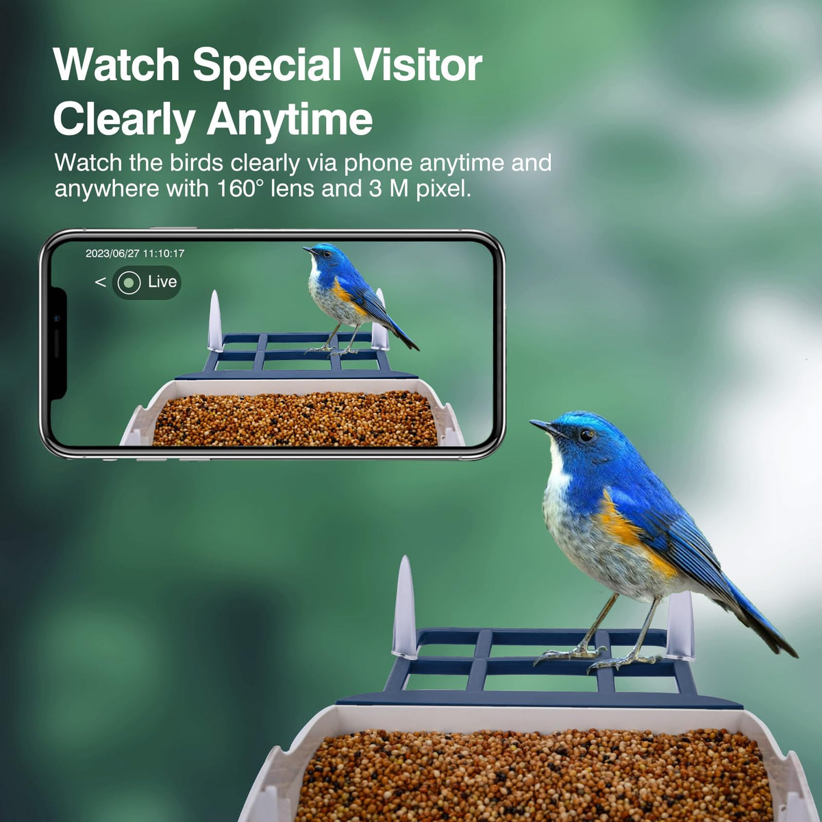 Aprilmin solar-powered battery keeps camera running during long birdwatching sessions.