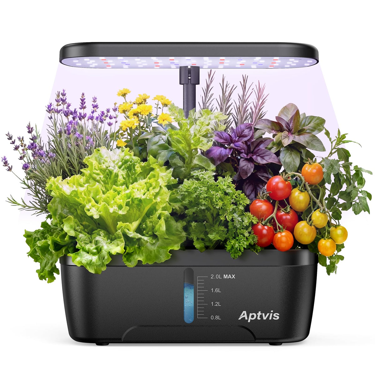 Aptvis 6-pod hydroponics system for fresh year-round herbs at home