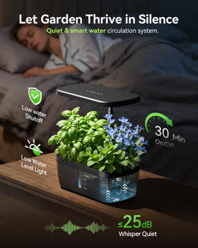 Aptvis auto timer feature for consistent indoor lighting