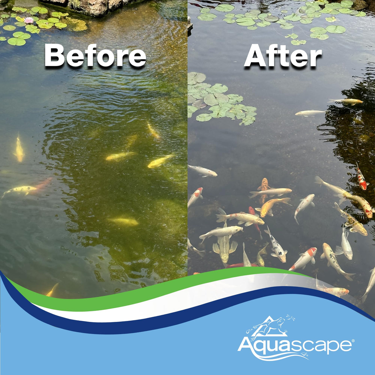 Aquascape algaecide suitable for container water gardens as well