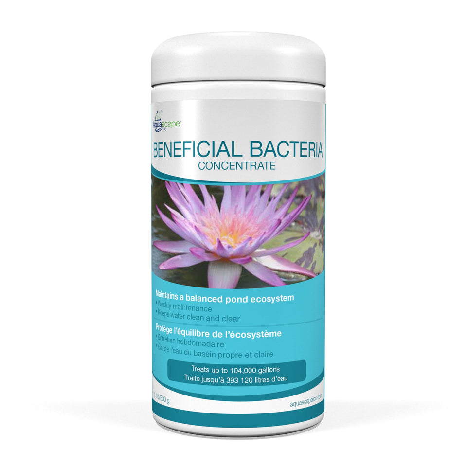 Aquascape beneficial bacteria concentrate bottle improves pond balance and clarity