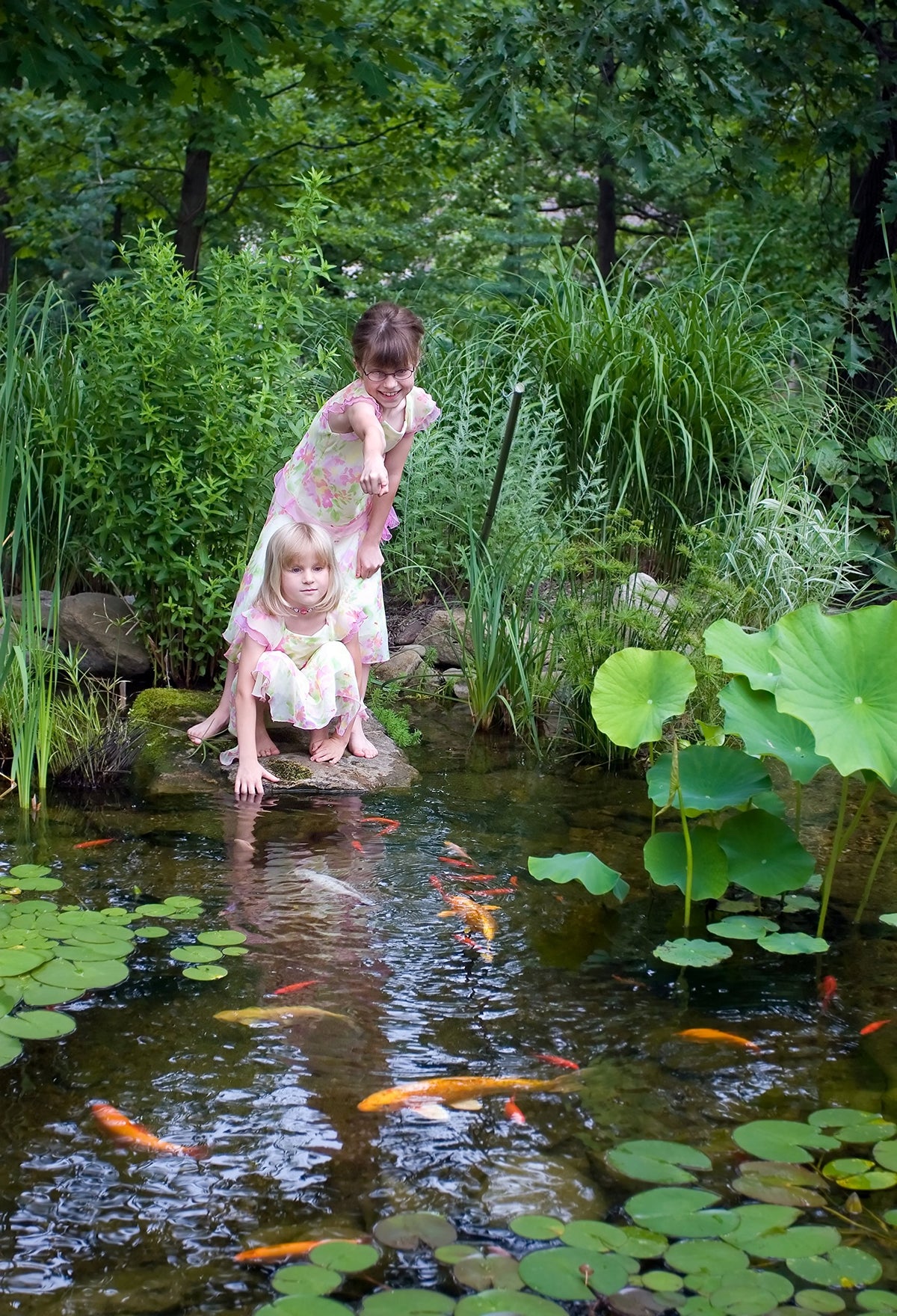 Aquascape application of beneficial bacteria in a pond for water health