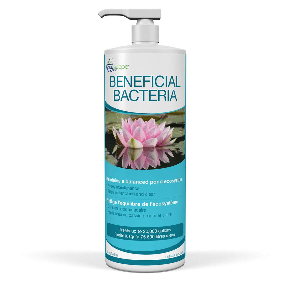 Aquascape Beneficial Bacteria bottle viewed for product use, supporting clear pond water and balanced biologicals