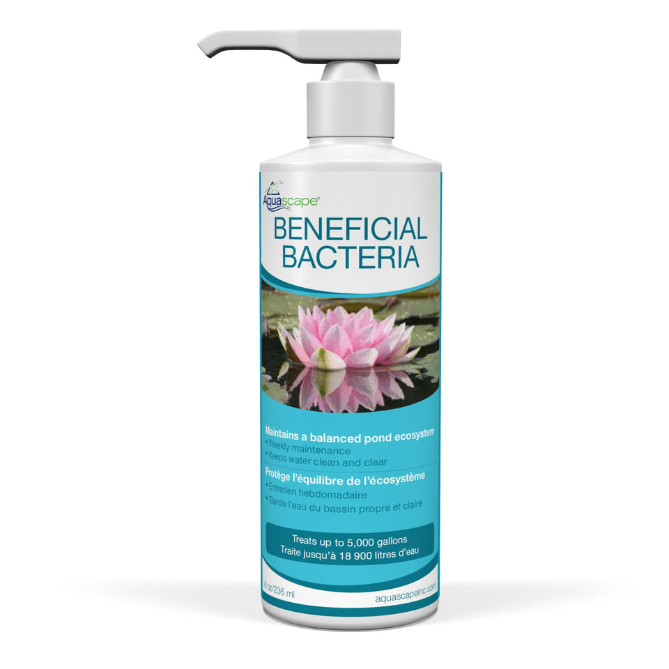 Aquascape beneficial bacteria bottle for pond care promotes a balanced biological system.