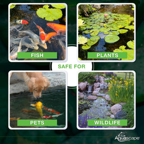 Aquascape container treats up to 104000 gallons of pond water
