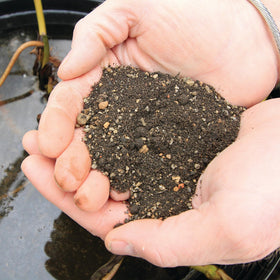 Aquascape dense media supports maximum nutrient absorption for pond plants.