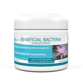 Aquascape Dry Beneficial Bacteria bottle pouring for clear pond water.