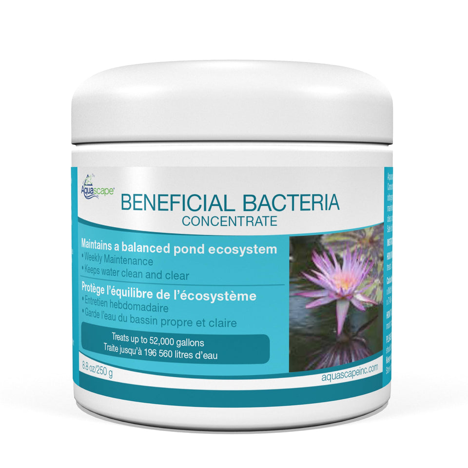 Aquascape Dry Beneficial Bacteria bottle supports pond water balance and clarity