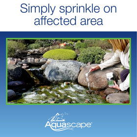 Direct application to stream edges providing focused algae control.