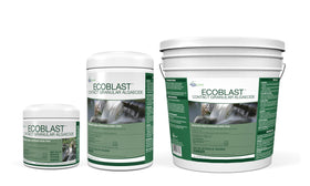 Fast-acting algae control demonstrated with Aquascape EcoBlast