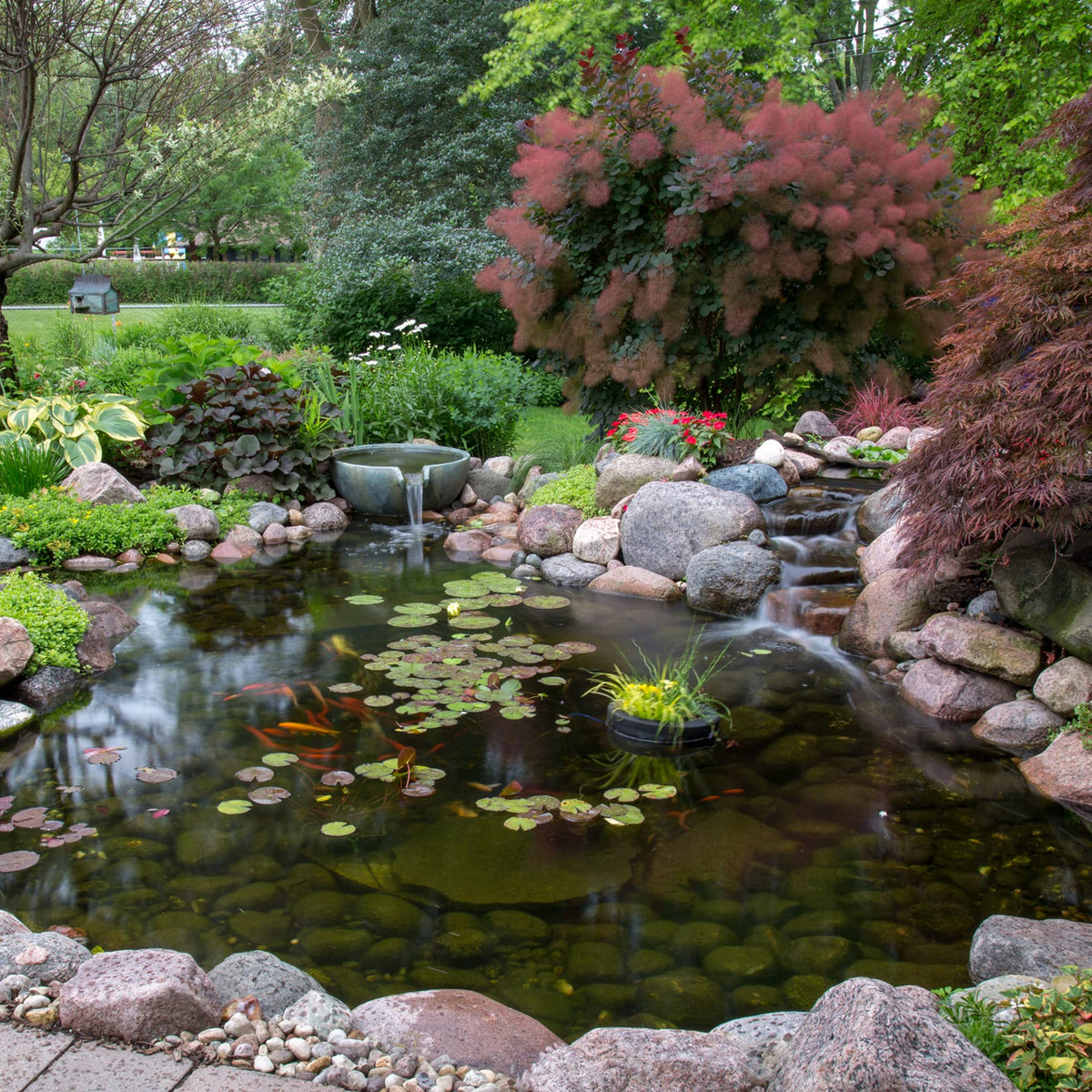 EcoBlast packaging on a decorative pond feature ready for application