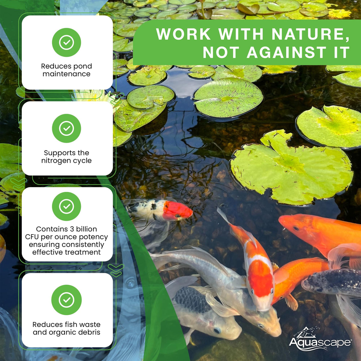 Aquascape eight pure strains bacteria and enzymes support balanced pond water