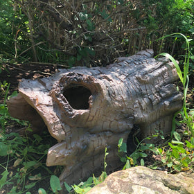 Aquascape faux log blends with garden decor while protecting fish.