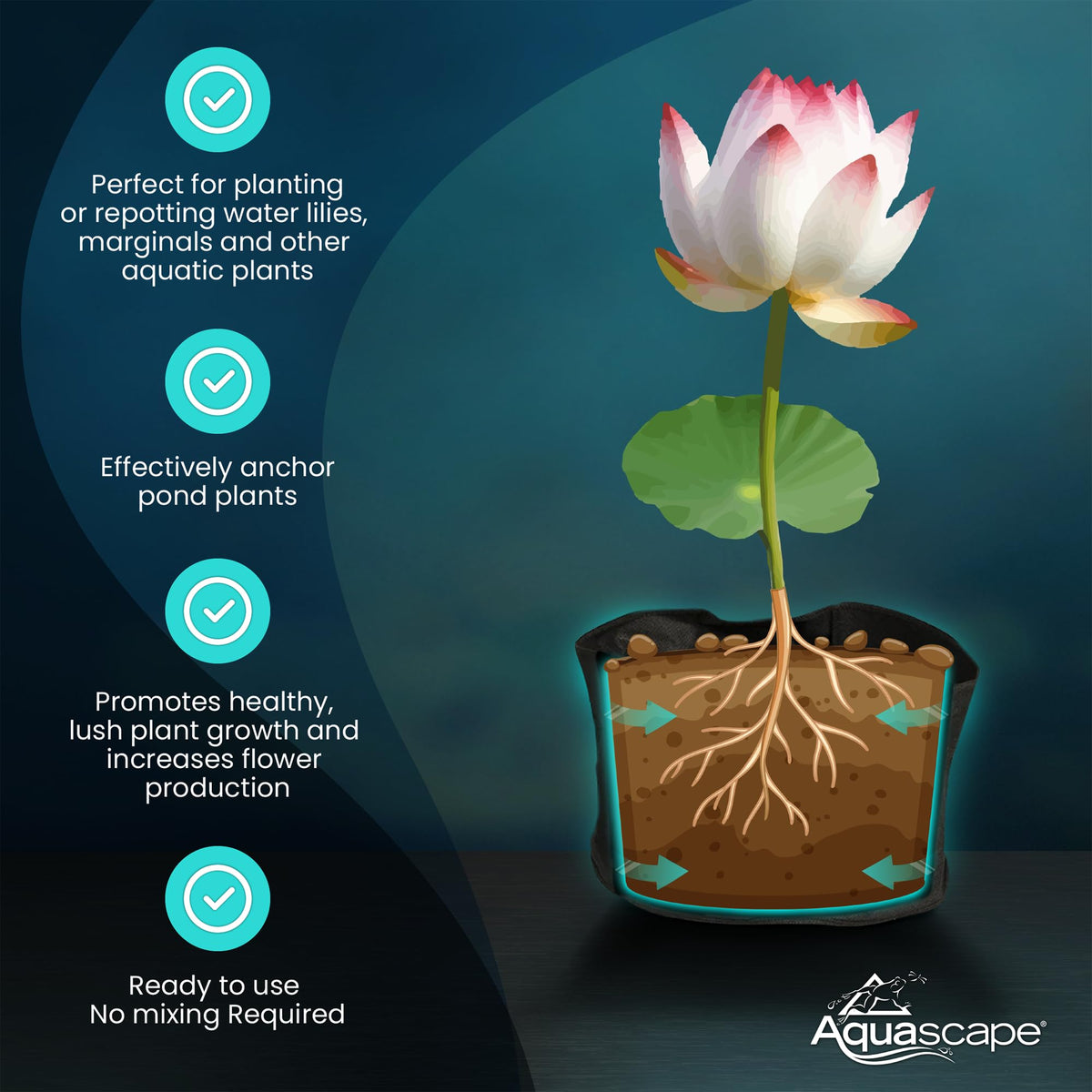 Aquascape peat-free media shows no peat moss or compost in use.