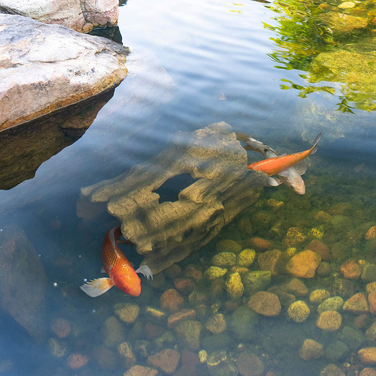 Aquascape fits outdoor and indoor spaces as garden decor.